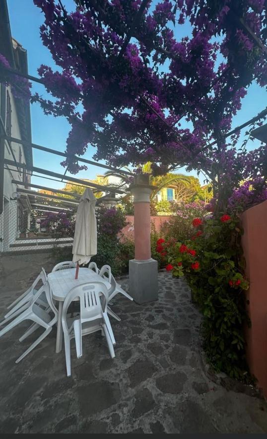 Villa Maison Des Amis Capraia Exterior foto